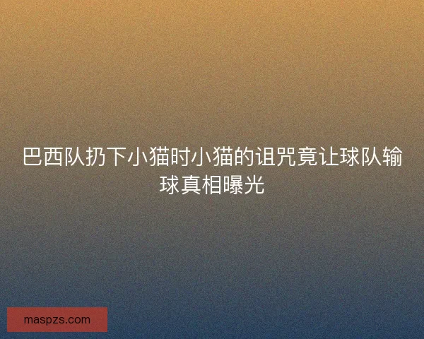 巴西队扔下小猫时小猫的诅咒竟让球队输球真相曝光